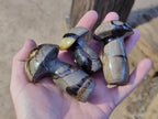 Polished Septerye Mushrooms x 12 From Mahajanga, Madagascar - Toprock Gemstones and Minerals 