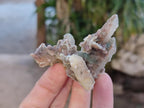 Natural Drusy Fairy Spirit Quartz Crystals x 35 From Boekenhouthoek, South Africa