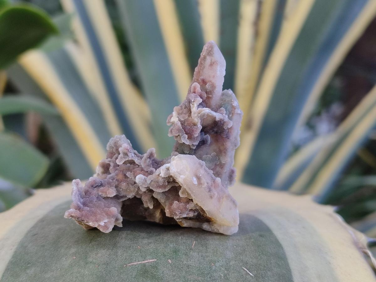 Natural Drusy Fairy Spirit Quartz Crystals x 35 From Boekenhouthoek, South Africa