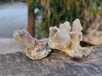 Natural Drusy Fairy Spirit Quartz Crystals x 35 From Boekenhouthoek, South Africa