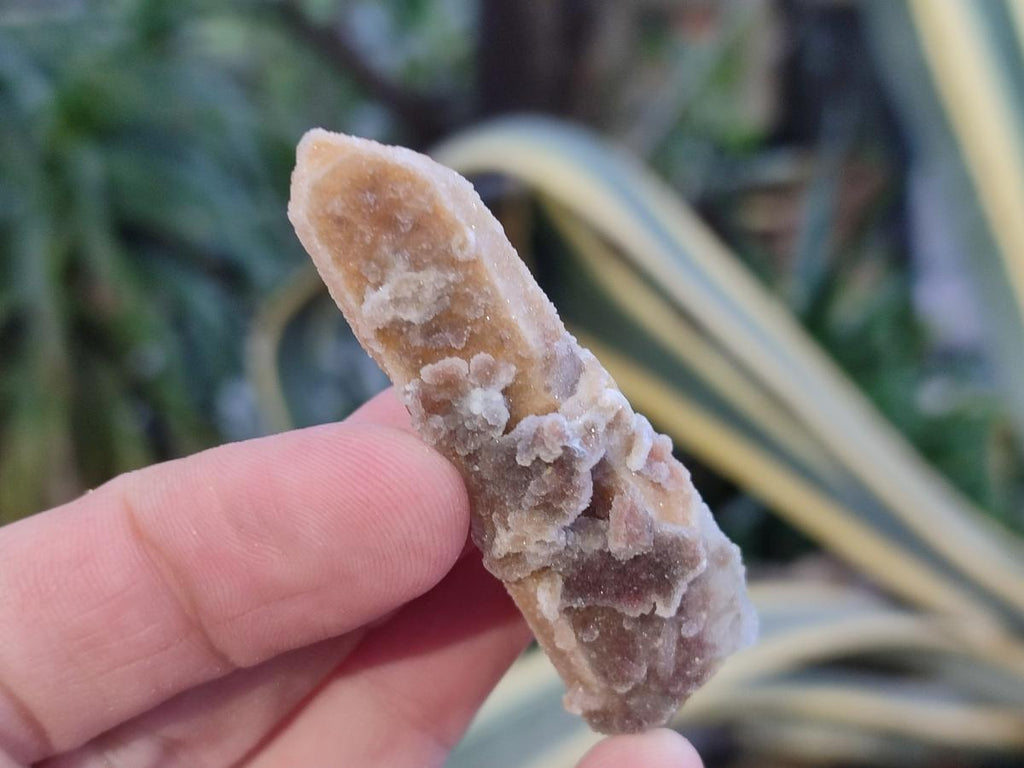 Natural Drusy Fairy Spirit Quartz Crystals x 35 From Boekenhouthoek, South Africa