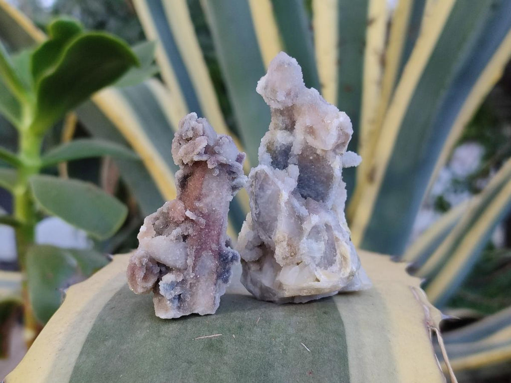 Natural Drusy Fairy Spirit Quartz Crystals x 35 From Boekenhouthoek, South Africa