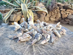 Natural Drusy Fairy Spirit Quartz Crystals x 35 From Boekenhouthoek, South Africa