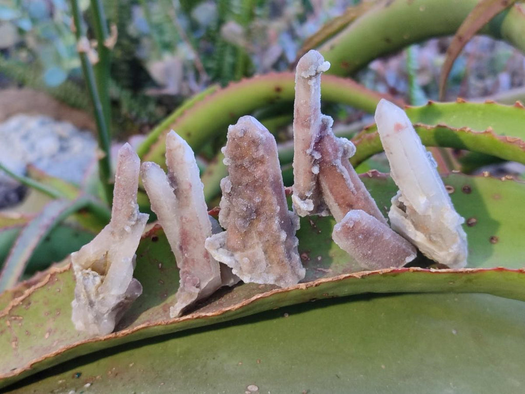 Natural Drusy Fairy Spirit Quartz Crystals x 35 From Boekenhouthoek, South Africa