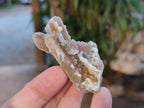 Natural Drusy Fairy Spirit Quartz Crystals x 35 From Boekenhouthoek, South Africa