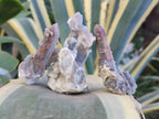 Natural Drusy Fairy Spirit Quartz Crystals x 35 From Boekenhouthoek, South Africa