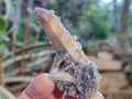 Natural Drusy Fairy Spirit Quartz Crystals x 35 From Boekenhouthoek, South Africa
