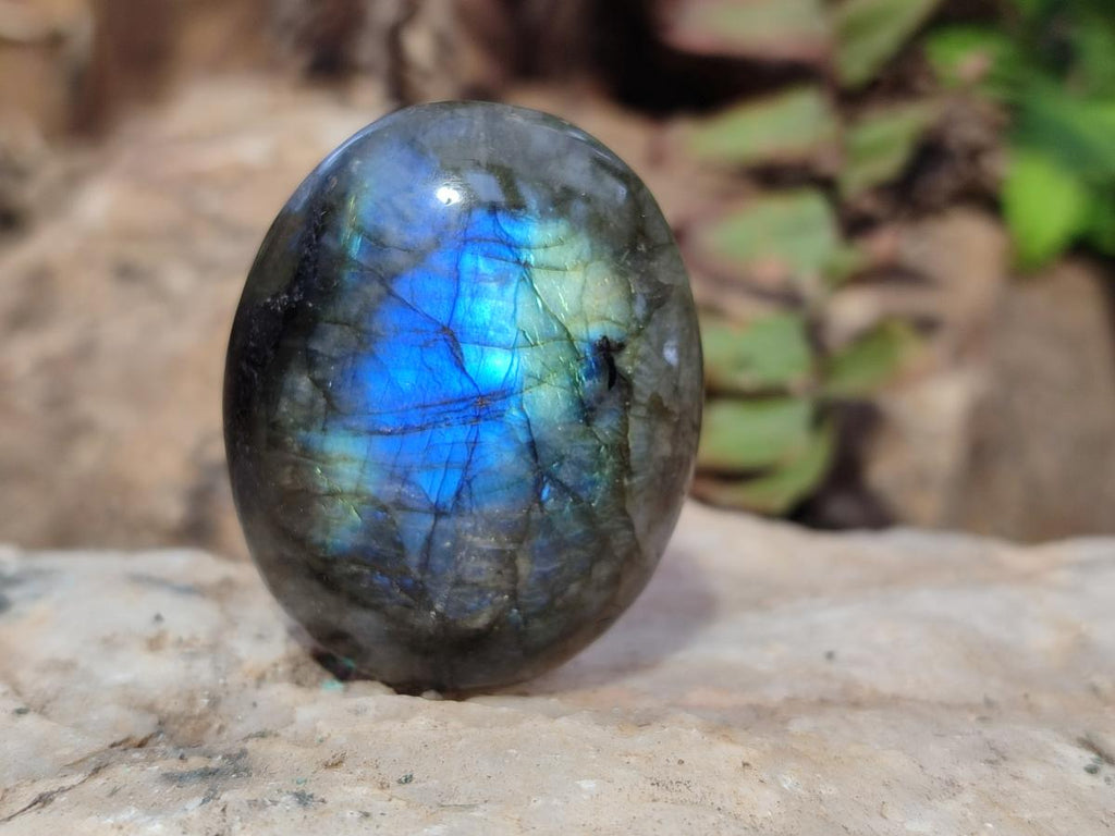 Polished Labradorite Palm Stones x 30 From Madagascar - Toprock Gemstones and Minerals 