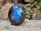 Polished Labradorite Palm Stones x 30 From Madagascar - Toprock Gemstones and Minerals 