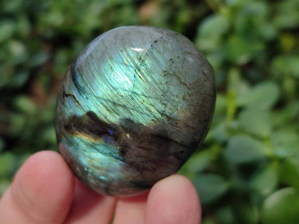 Polished Labradorite Palm Stones x 30 From Madagascar - Toprock Gemstones and Minerals 