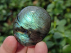 Polished Labradorite Palm Stones x 30 From Madagascar - Toprock Gemstones and Minerals 