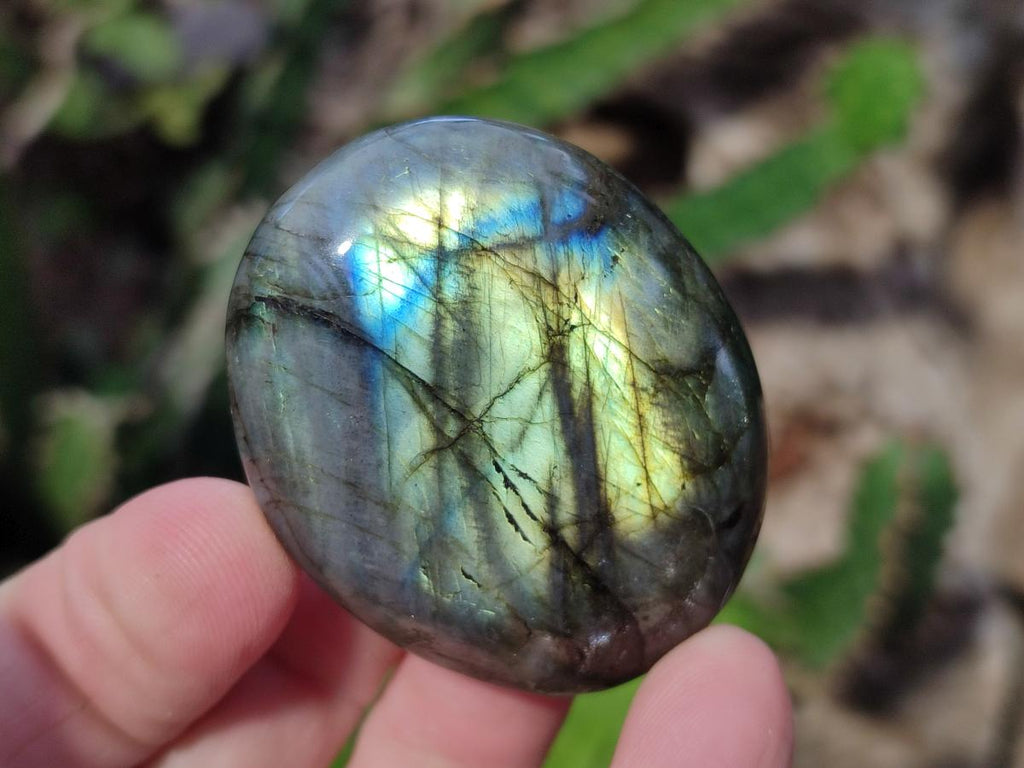 Polished Labradorite Palm Stones x 30 From Madagascar - Toprock Gemstones and Minerals 