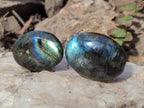 Polished Labradorite Palm Stones x 30 From Madagascar - Toprock Gemstones and Minerals 