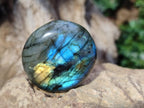 Polished Labradorite Palm Stones x 30 From Madagascar - Toprock Gemstones and Minerals 