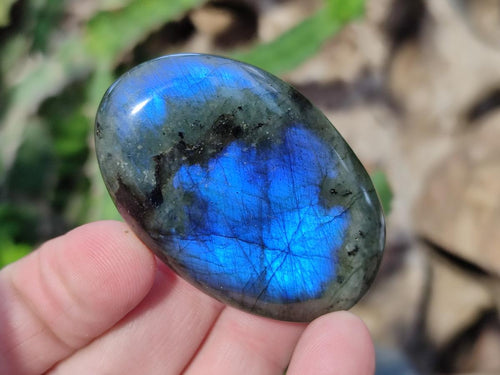 Polished Labradorite Palm Stones x 30 From Madagascar - Toprock Gemstones and Minerals 