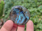 Polished Labradorite Palm Stones x 30 From Madagascar - Toprock Gemstones and Minerals 