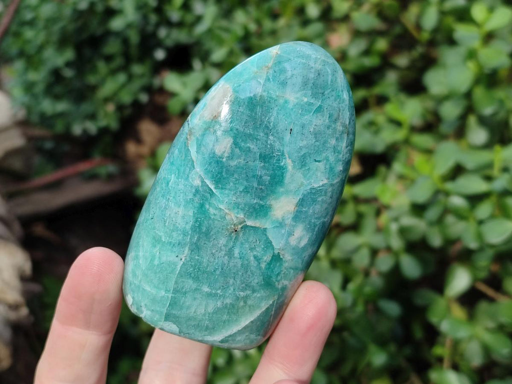 Polished Amazonite Standing Display Pieces x 12 From Madagascar - Toprock Gemstones and Minerals 
