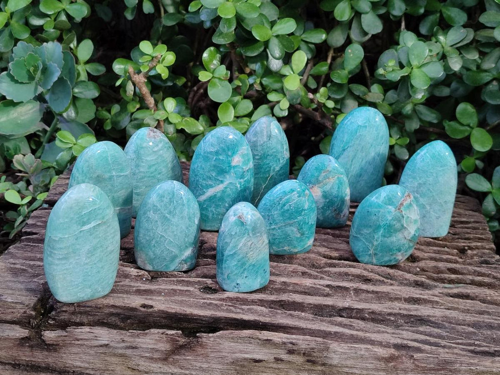 Polished Amazonite Standing Display Pieces x 12 From Madagascar - Toprock Gemstones and Minerals 