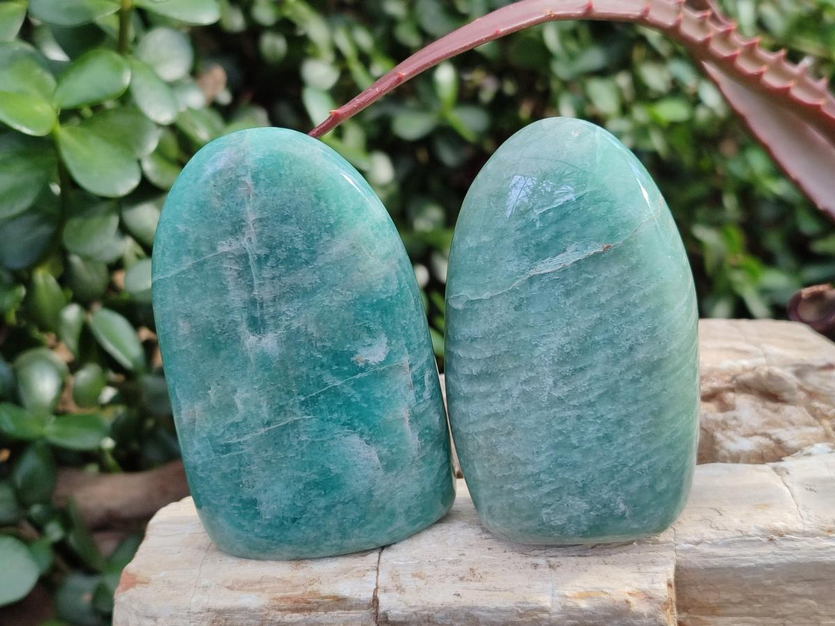 Polished Amazonite Standing Display Pieces x 12 From Madagascar - Toprock Gemstones and Minerals 