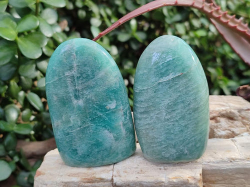 Polished Amazonite Standing Display Pieces x 12 From Madagascar - Toprock Gemstones and Minerals 