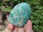 Polished Amazonite Standing Display Pieces x 12 From Madagascar - Toprock Gemstones and Minerals 
