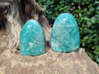 Polished Amazonite Standing Display Pieces x 12 From Madagascar - Toprock Gemstones and Minerals 