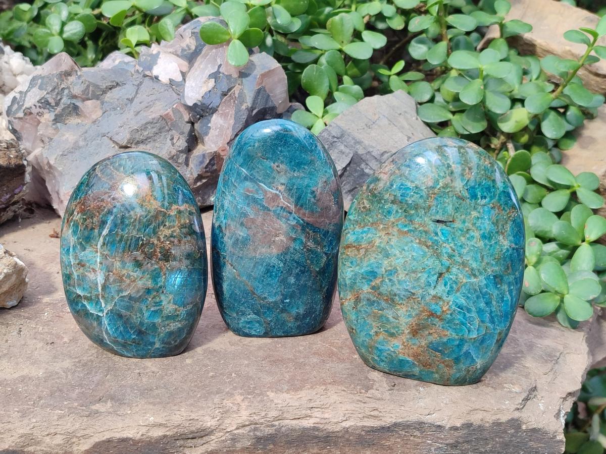 Polished Blue Apatite Standing Display Pieces x 3 From Betroka, Madagascar - Toprock Gemstones and Minerals 
