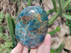 Polished Blue Apatite Standing Display Pieces x 3 From Betroka, Madagascar - Toprock Gemstones and Minerals 