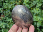 Polished Basalt Pharaoh Stone Galets x 4 From Iron Duke Mine, Zimbabwe - Toprock Gemstones and Minerals 