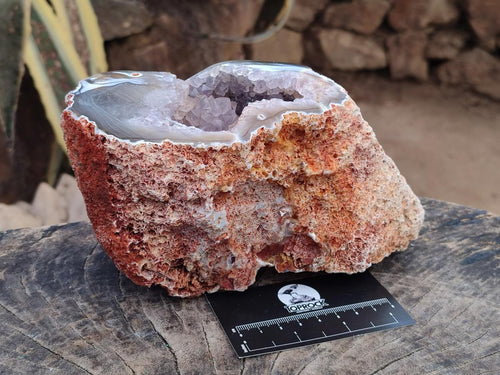 Polished One Side Agate Amethyst Geode with Ball Flower Formation x 1 From Maintirano, Madagascar - Toprock Gemstones and Minerals 