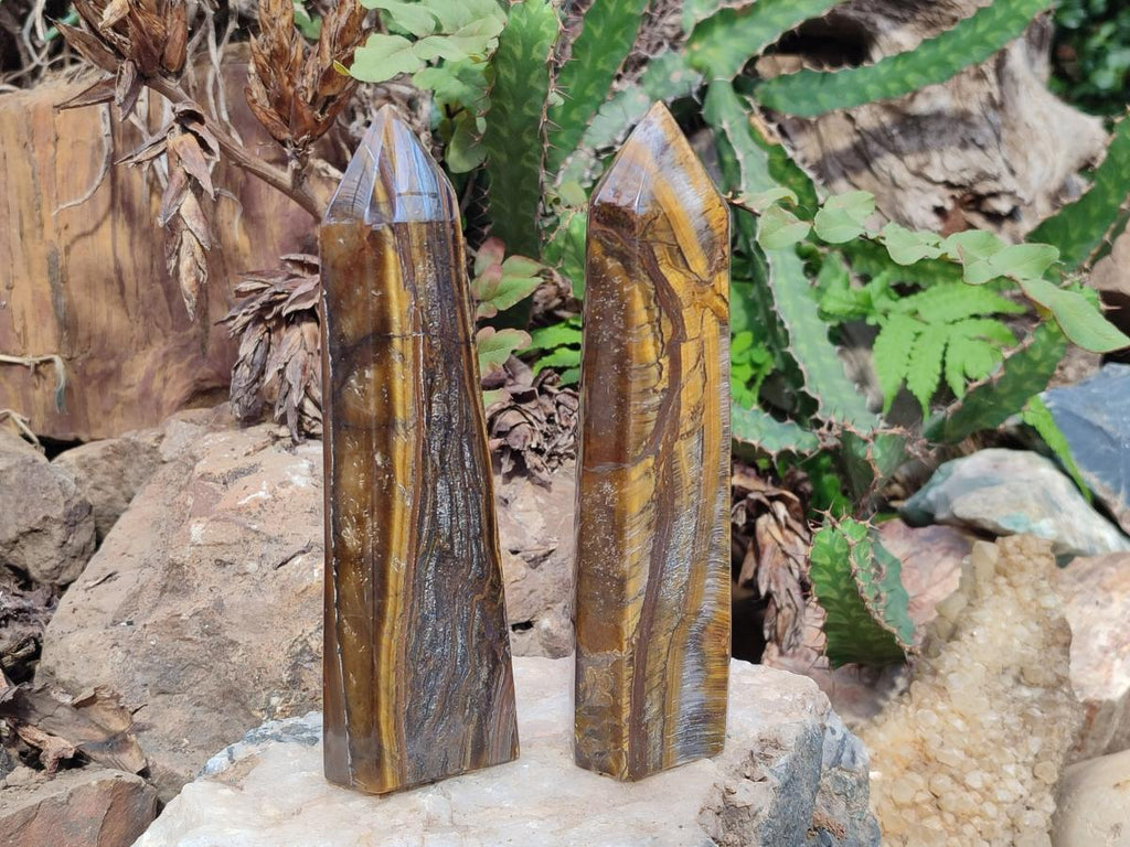Polished Golden Tigers Eye Display Crystals x 4 From Prieska, South Africa - Toprock Gemstones and Minerals 
