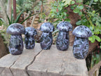 Polished Gabbro 'Merlinite' Mushrooms x 12 From Ambatofinandrahana, Madagascar - Toprock Gemstones and Minerals 