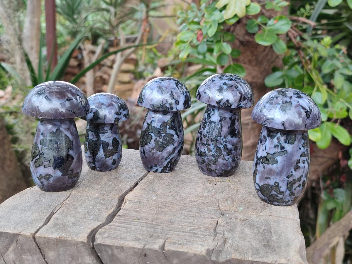 Polished Gabbro 'Merlinite' Mushrooms x 12 From Ambatofinandrahana, Madagascar - Toprock Gemstones and Minerals 