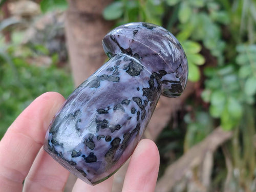 Polished Gabbro 'Merlinite' Mushrooms x 12 From Ambatofinandrahana, Madagascar - Toprock Gemstones and Minerals 