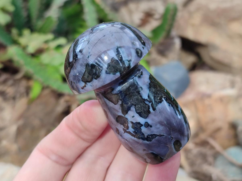 Polished Gabbro 'Merlinite' Mushrooms x 12 From Ambatofinandrahana, Madagascar - Toprock Gemstones and Minerals 
