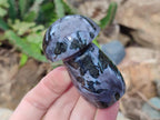 Polished Gabbro 'Merlinite' Mushrooms x 12 From Ambatofinandrahana, Madagascar - Toprock Gemstones and Minerals 