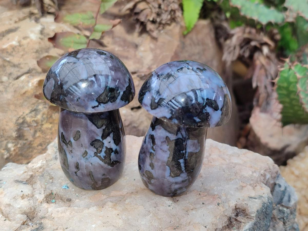 Polished Gabbro 'Merlinite' Mushrooms x 12 From Ambatofinandrahana, Madagascar - Toprock Gemstones and Minerals 