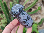 Polished Gabbro 'Merlinite' Mushrooms x 12 From Ambatofinandrahana, Madagascar - Toprock Gemstones and Minerals 