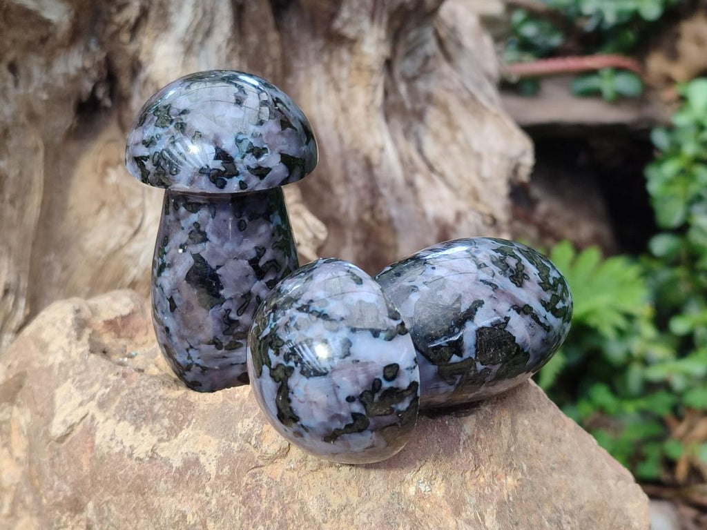 Polished Gabbro 'Merlinite' Mushrooms x 12 From Ambatofinandrahana, Madagascar - Toprock Gemstones and Minerals 