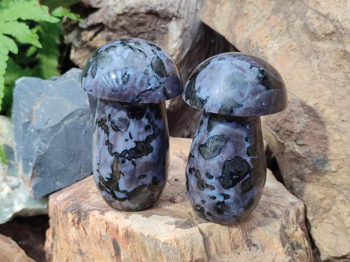 Polished Gabbro 'Merlinite' Mushrooms x 12 From Ambatofinandrahana, Madagascar - Toprock Gemstones and Minerals 