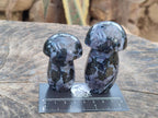 Polished Gabbro 'Merlinite' Mushrooms x 12 From Ambatofinandrahana, Madagascar - Toprock Gemstones and Minerals 