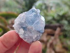 Natural Small Blue Celestite Specimens x 56 From Sakoany, Madagascar - Toprock Gemstones and Minerals 