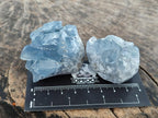 Natural Small Blue Celestite Specimens x 56 From Sakoany, Madagascar - Toprock Gemstones and Minerals 