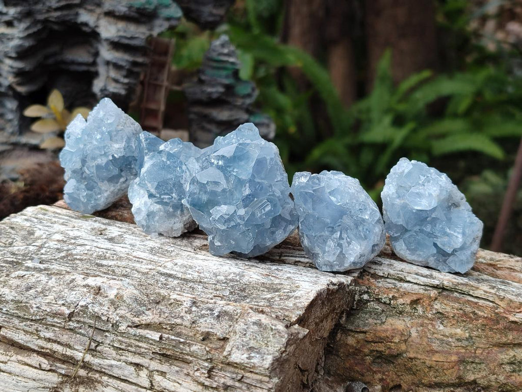 Natural Small Blue Celestite Specimens x 56 From Sakoany, Madagascar - Toprock Gemstones and Minerals 