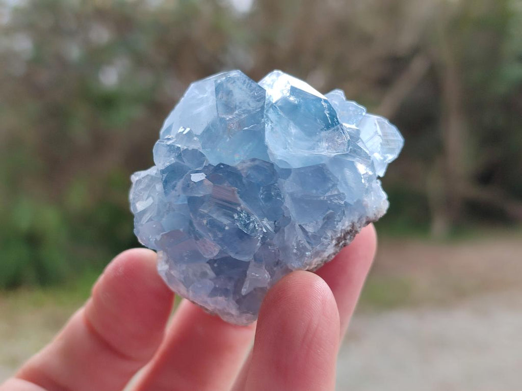 Natural Small Blue Celestite Specimens x 56 From Sakoany, Madagascar - Toprock Gemstones and Minerals 
