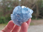 Natural Small Blue Celestite Specimens x 56 From Sakoany, Madagascar - Toprock Gemstones and Minerals 