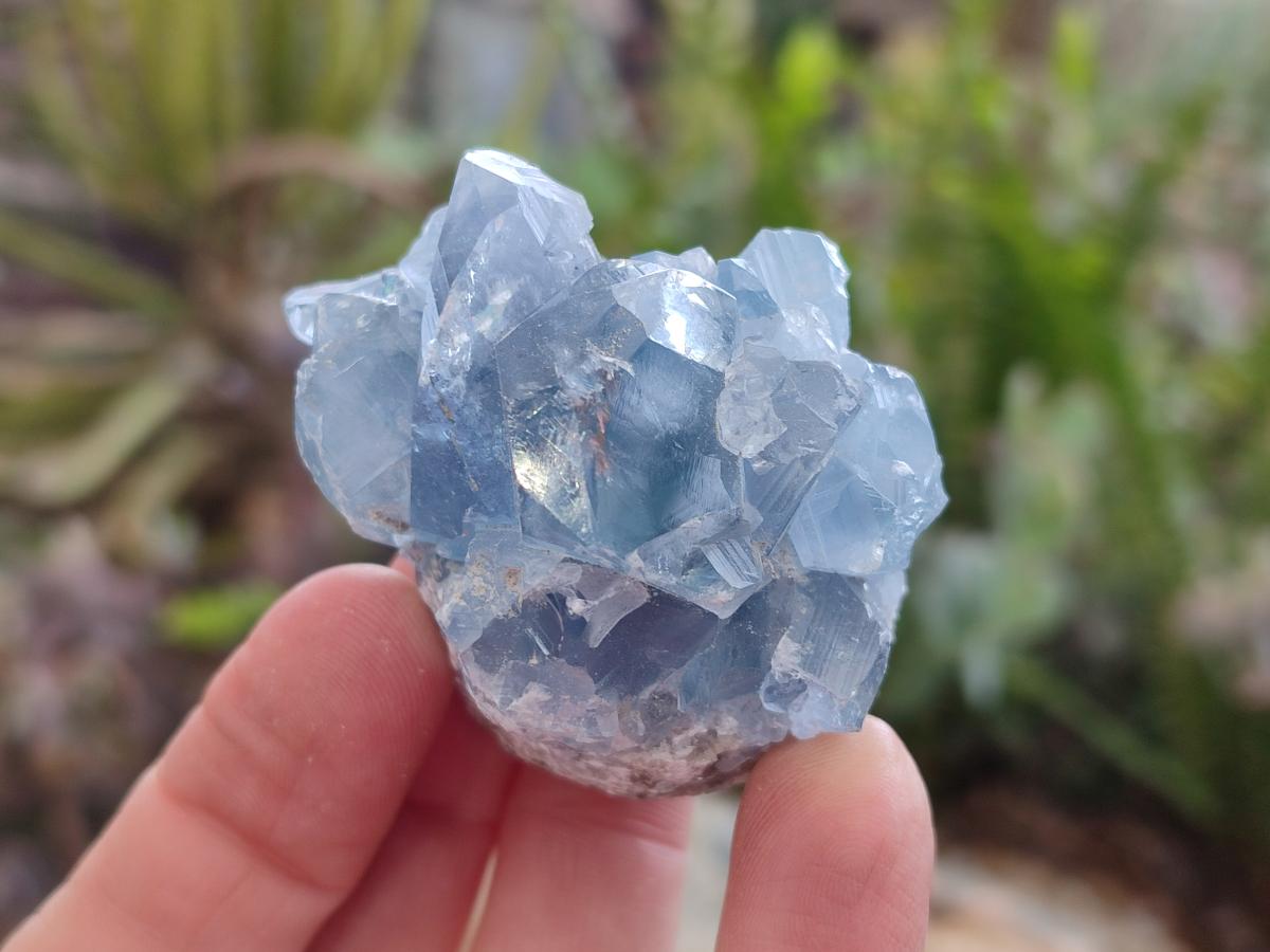 Natural Small Blue Celestite Specimens x 56 From Sakoany, Madagascar - Toprock Gemstones and Minerals 