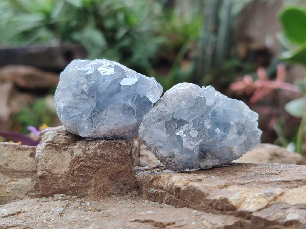 Natural Small Blue Celestite Specimens x 56 From Sakoany, Madagascar - Toprock Gemstones and Minerals 