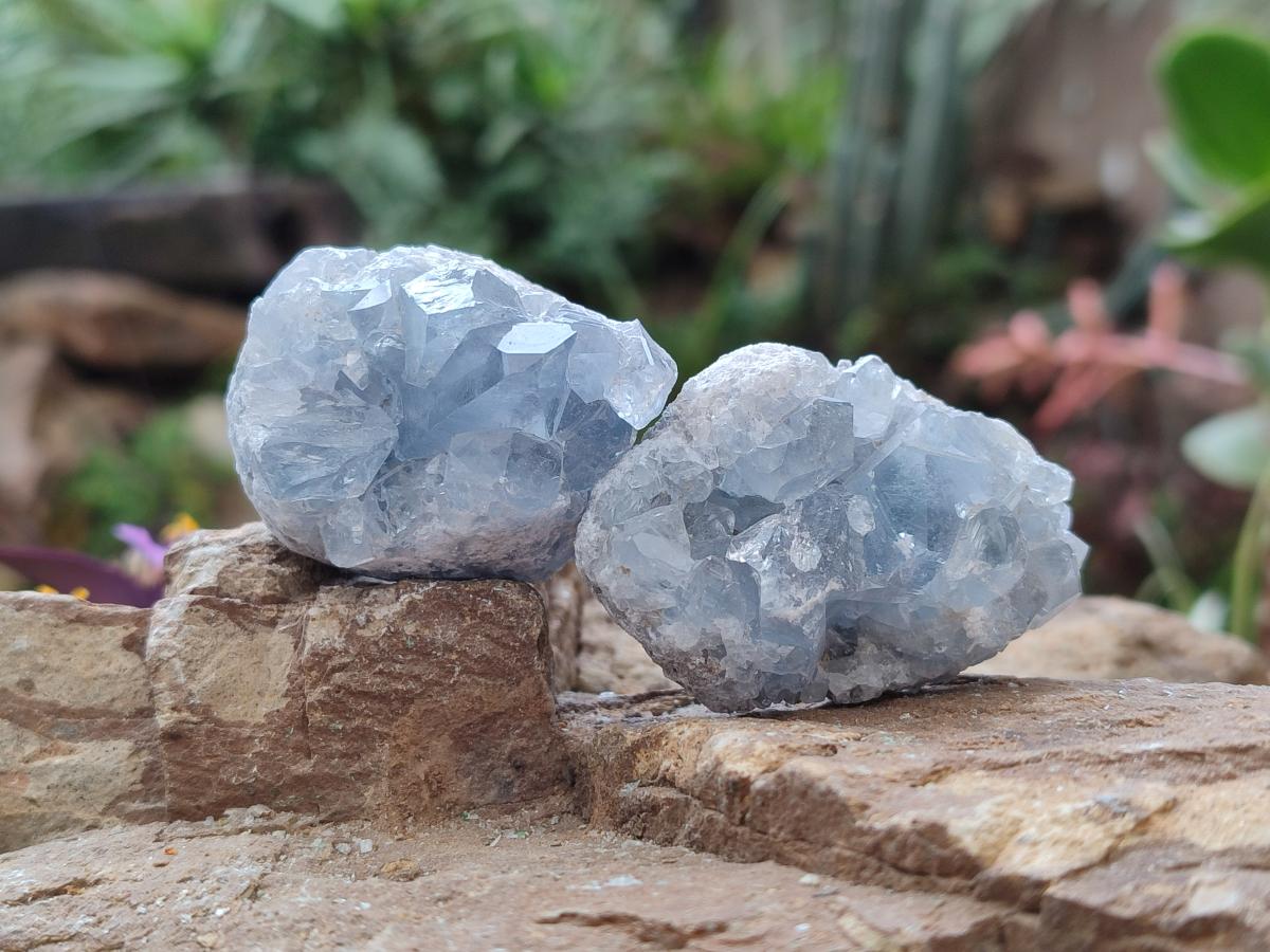 Natural Small Blue Celestite Specimens x 56 From Sakoany, Madagascar - Toprock Gemstones and Minerals 