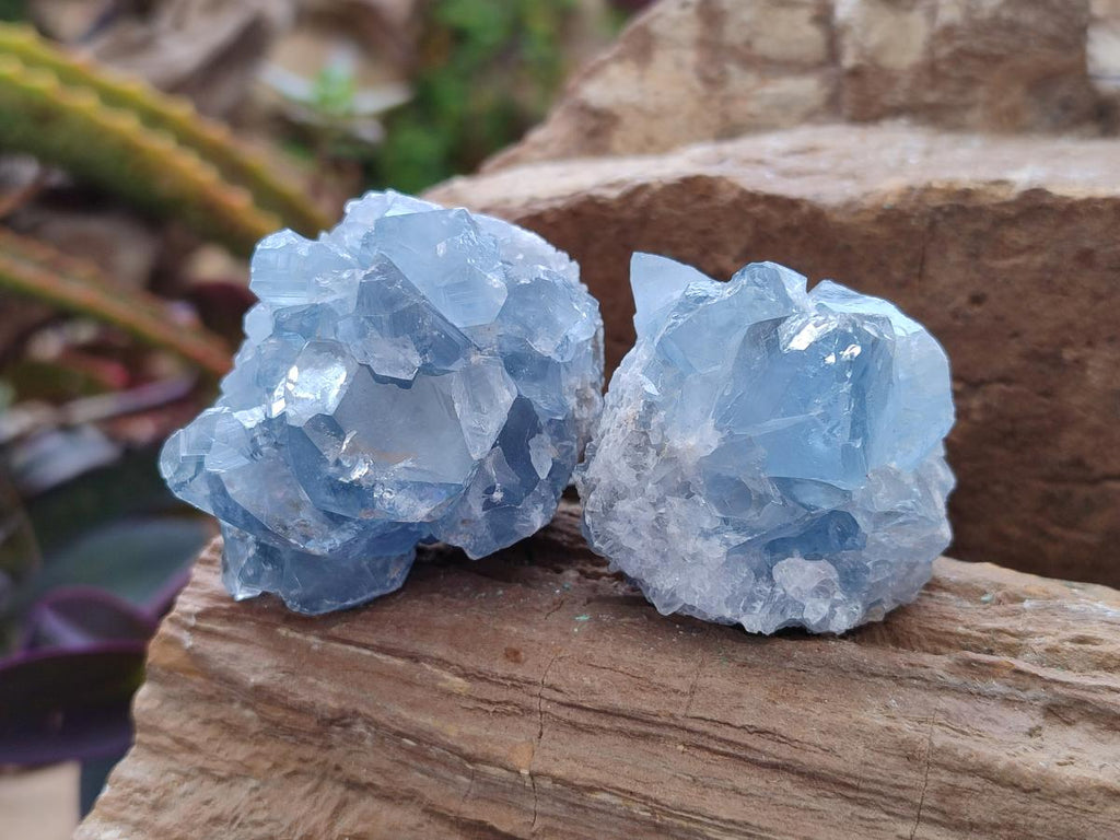 Natural Small Blue Celestite Specimens x 56 From Sakoany, Madagascar - Toprock Gemstones and Minerals 